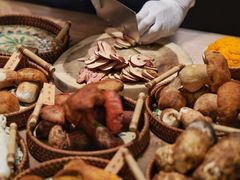 -蘑界·野生菌火锅(深业上城店)