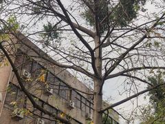 -广州医科大学(越秀校区)