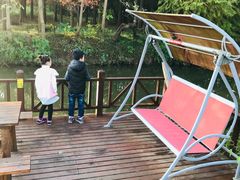 -崇明东平国家森林公园烧烤房车露营地