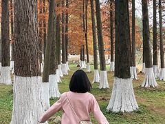 -青龙山国家森林公园
