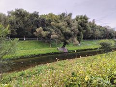 -黛秀湖公园