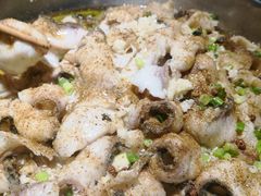 -百岁鱼(望月路店)