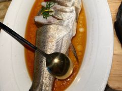 -醉庐·新上海菜(南京西路店)