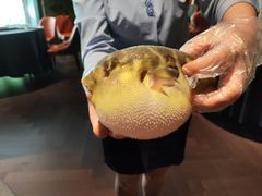 -肆月河豚·淮扬菜·湘菜(华天店)