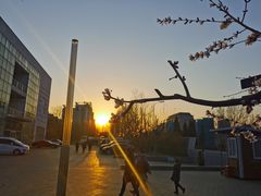 -廊坊文化艺术中心