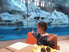 -帝企鹅自助餐厅•儿童岛•真企鹅(长隆企鹅酒店)