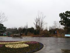 -梁鸿国家湿地公园
