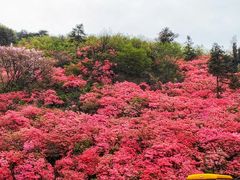 -木兰云雾山
