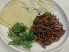 -大鸭梨烤鸭店(花园村店)