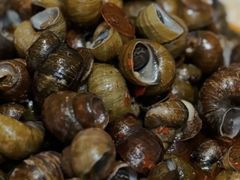 -美芳酒家(湖西路菜场店)