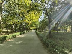 -森林公园(尖草坪区)