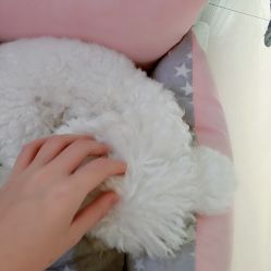 -肌理言健康美肌驻颜所