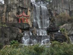 -金鸡山公园