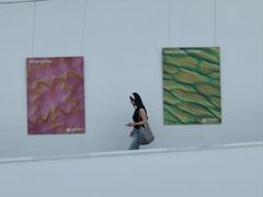 -中国湿地博物馆