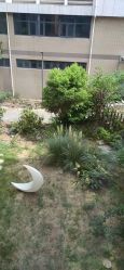 -安琪朵朵独栋花园月子中心