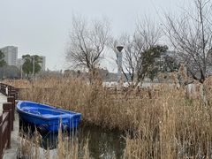 -海天湖公园