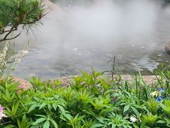 -罗红摄影艺术馆