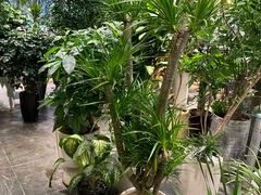 -双季花艺园艺市场(浦东店)