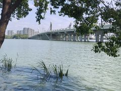 -蠡湖大桥公园