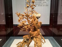 -广东省博物馆