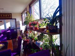 -北京龙庆四季香农家饭庄·灶台鱼·碳烤虹鳟鱼(龙庆峡店)