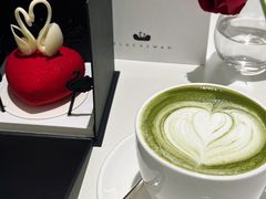 -BLACKSWAN黑天鹅(新希望店)