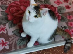 -西宁福茵长乐国际大酒店