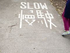 -南丫岛