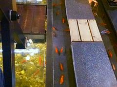 -颐和•海鲜砂锅粥•啫啫煲(奥林匹克广场店)
