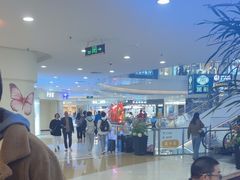 -野人先生Gelato(上海长宁龙之梦店)