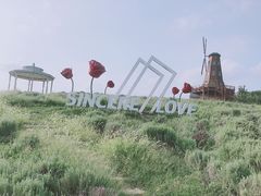 -大塘金香草谷
