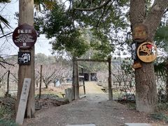 -同里国家湿地公园