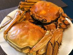 -上海虹桥宾馆味翠餐厅