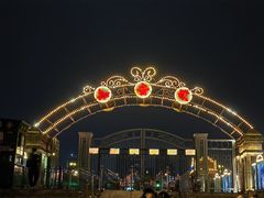 -武汉知音号