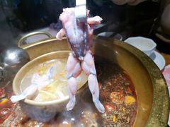 -华华火锅牛蛙(祥宾店)