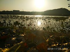 -天屿湖