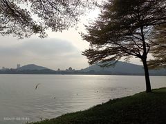 -顺峰山公园
