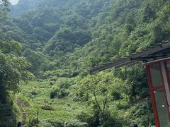 -梦幻奥陶纪景区