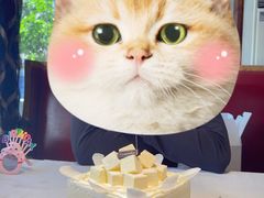 优酪雪芝士-Tomado绿色烘焙(大尧三路店)