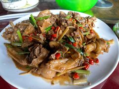 现杀果园鸡—黄焖鸡-生态苑农庄(十里画廊遇龙河店)