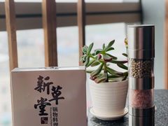 -新草堂锅物料理(泉城路店)