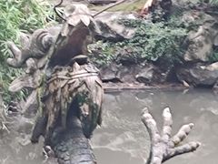-秋霞圃