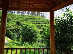 -心无尘茶餐馆(径山村店)