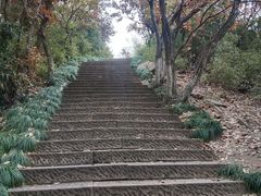 -杭州半山国家森林公园