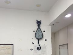 -中农国际动物医院24小时·猫科·骨科·急重症中心