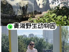 -青藏高原野生动物园