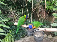 -南宫五洲植物乐园