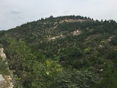 -府君山公园
