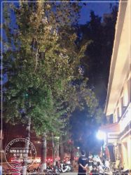 -LJOY丽锦造型·烫发染发