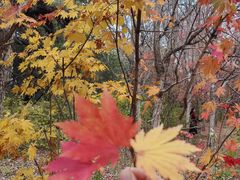 -长春市南湖公园